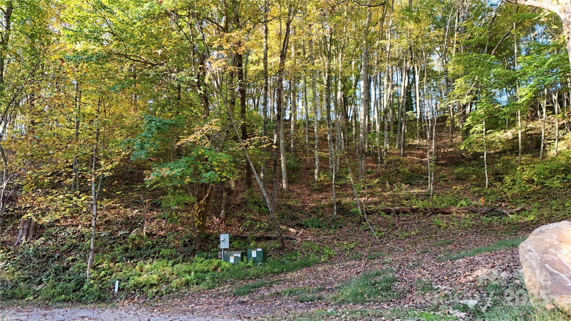 2 Roberts Mountain Road #2 - Photo 4