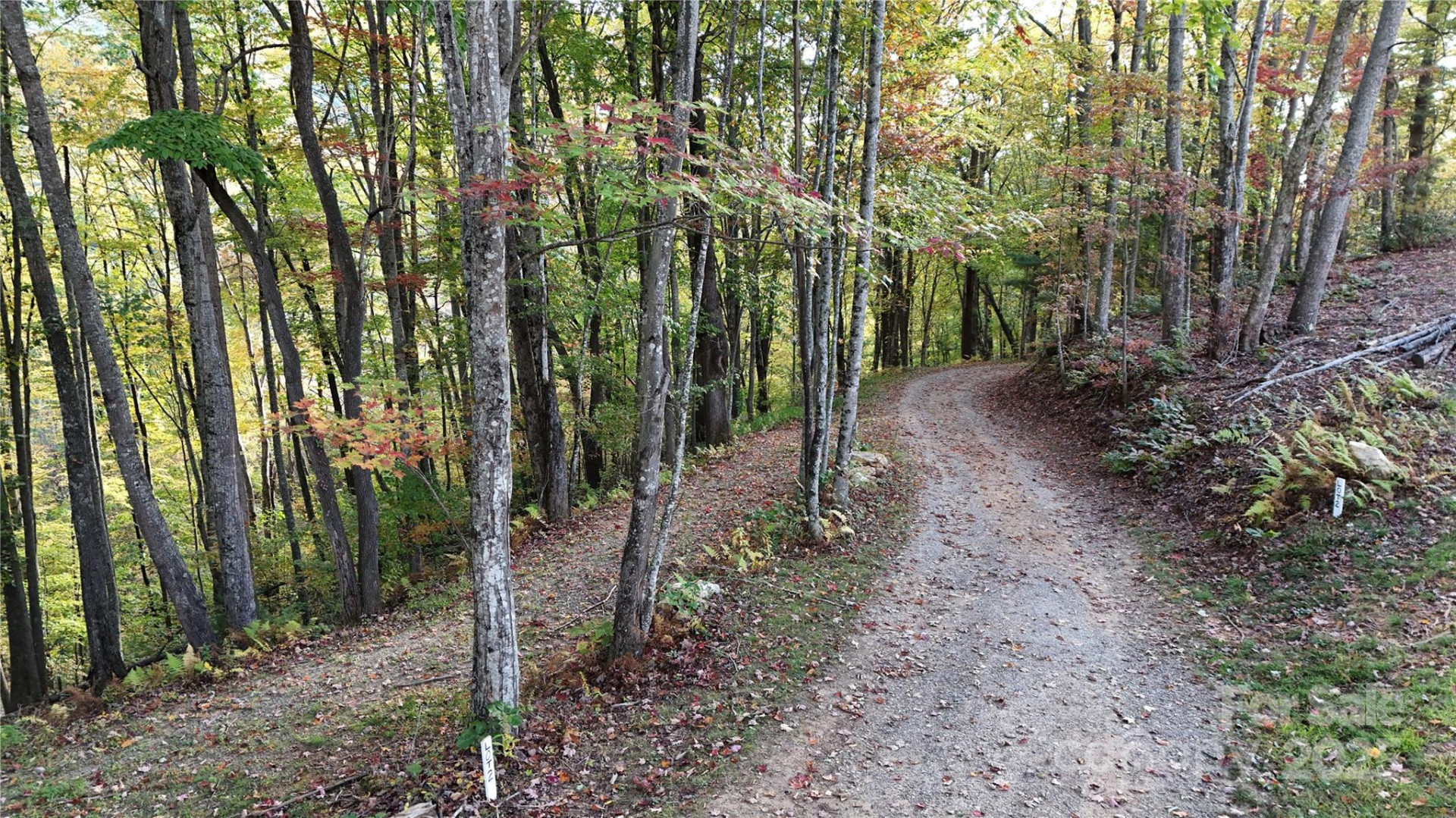 2 Roberts Mountain Road #2 - Photo 7