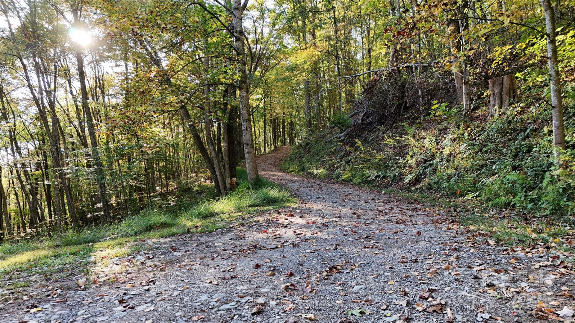 2 Roberts Mountain Road #2 - Photo 8