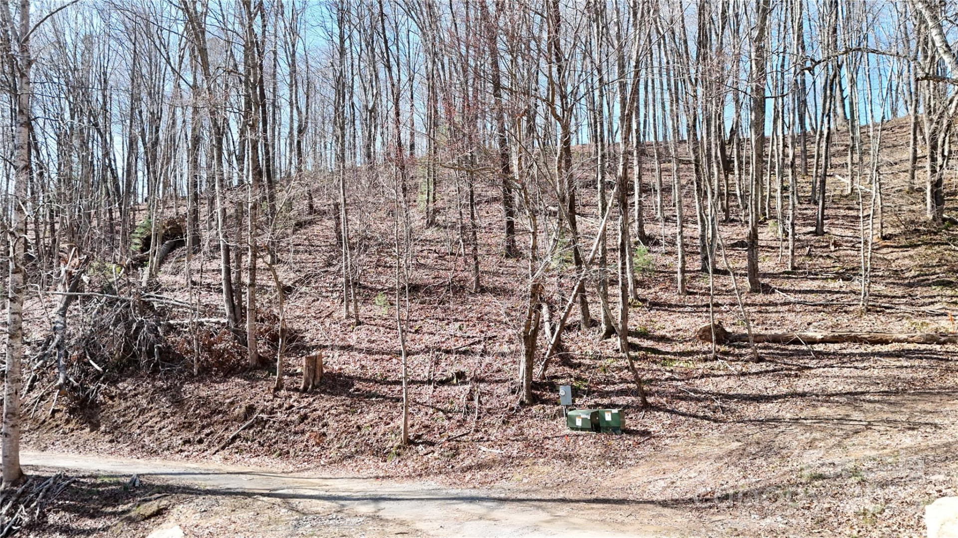 2 Roberts Mountain Road #2 - Photo 9