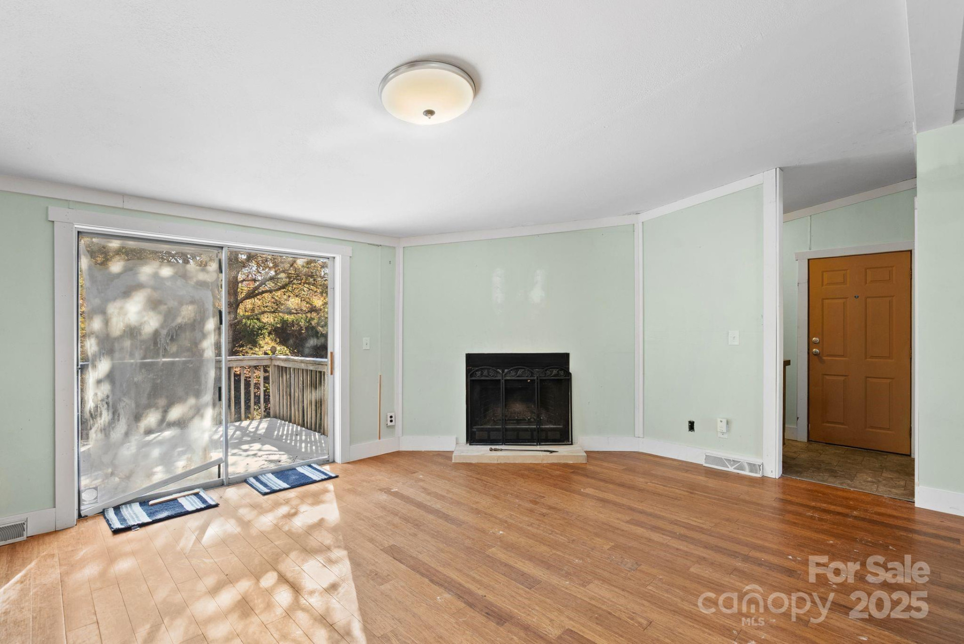218 Walt Haven Drive - Photo 14