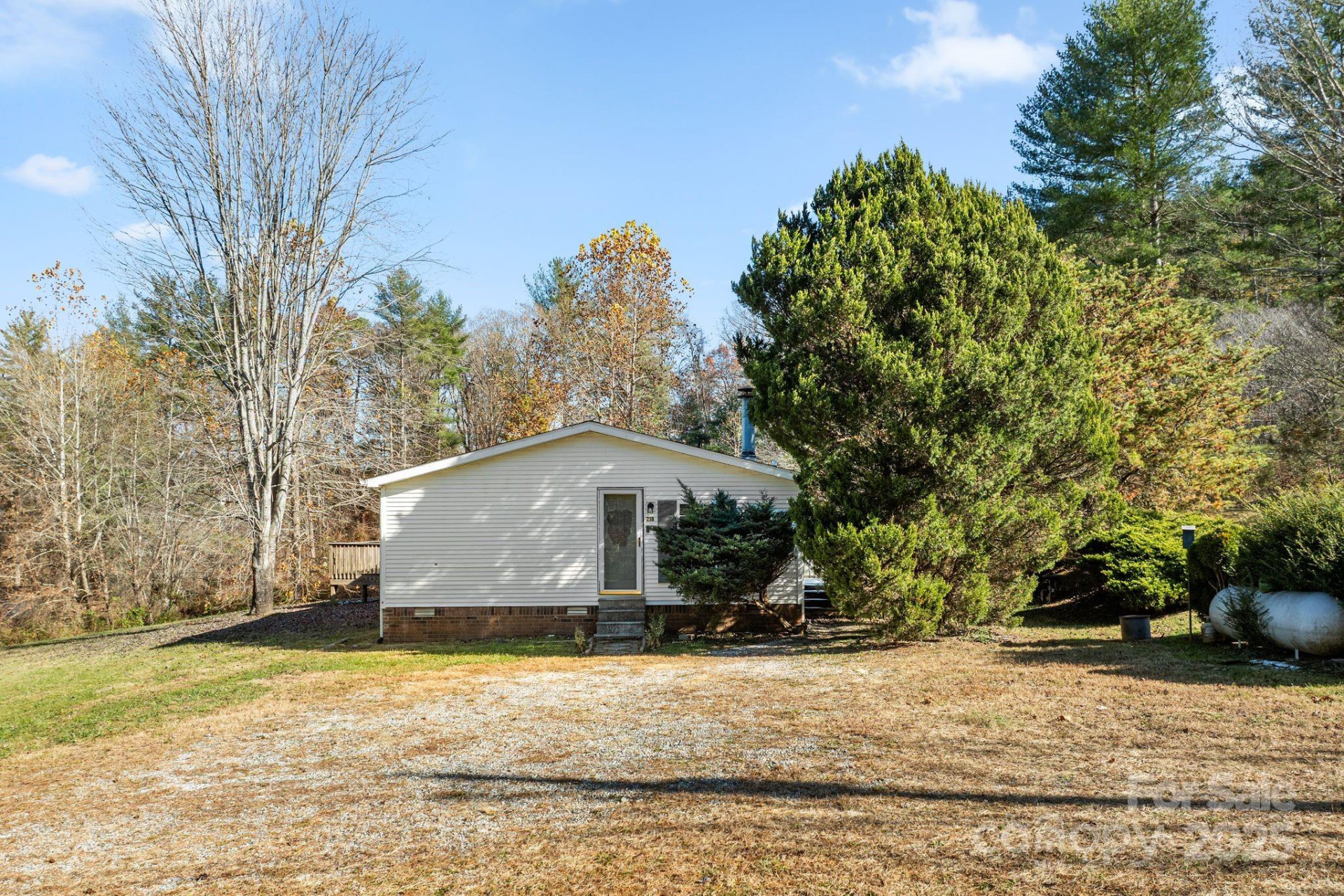 218 Walt Haven Drive - Photo 6