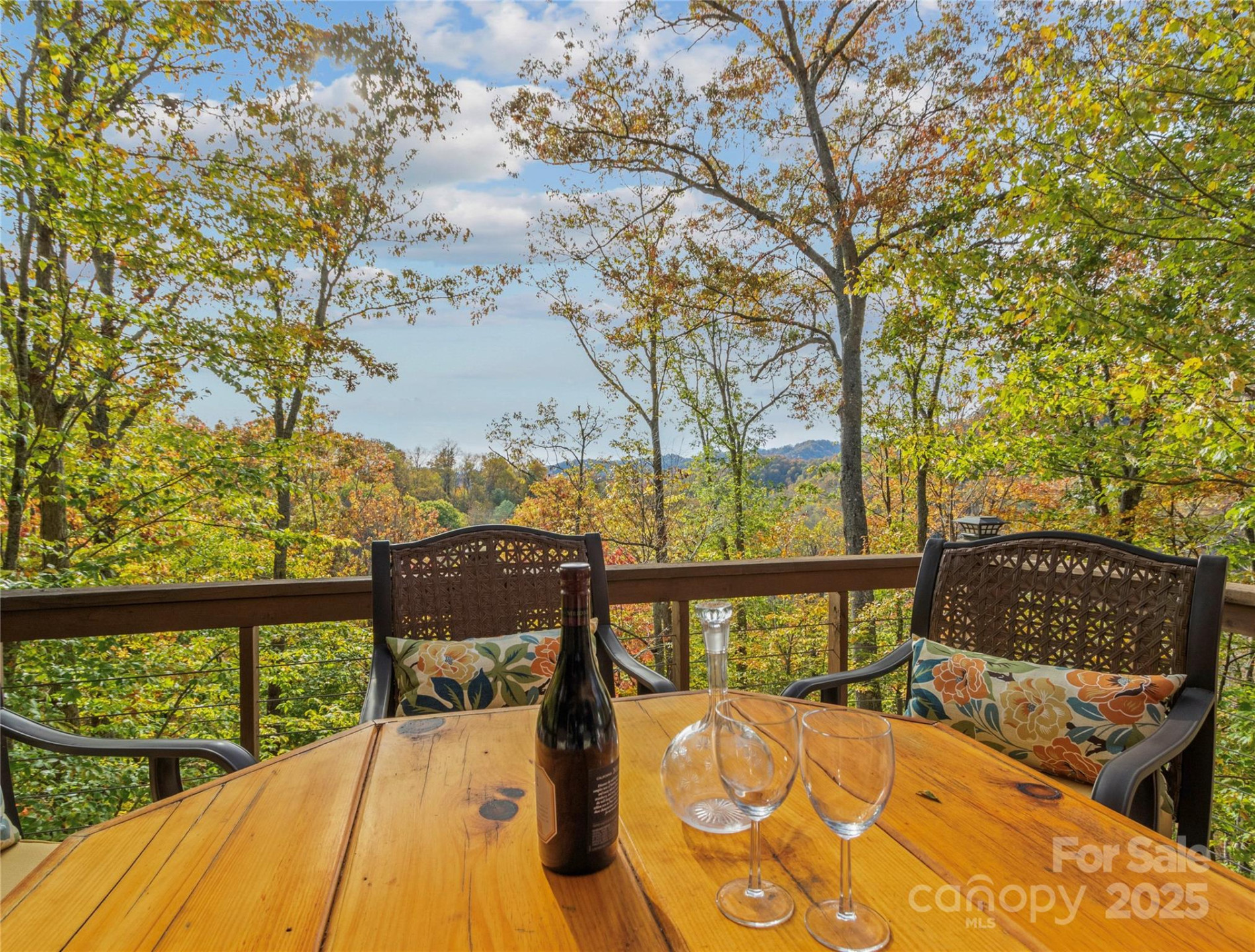 351 Buck Springs Run - Photo 2