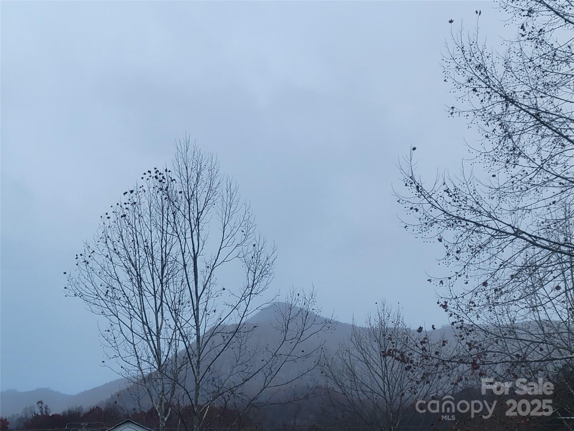 141 Pike Point - Photo 19