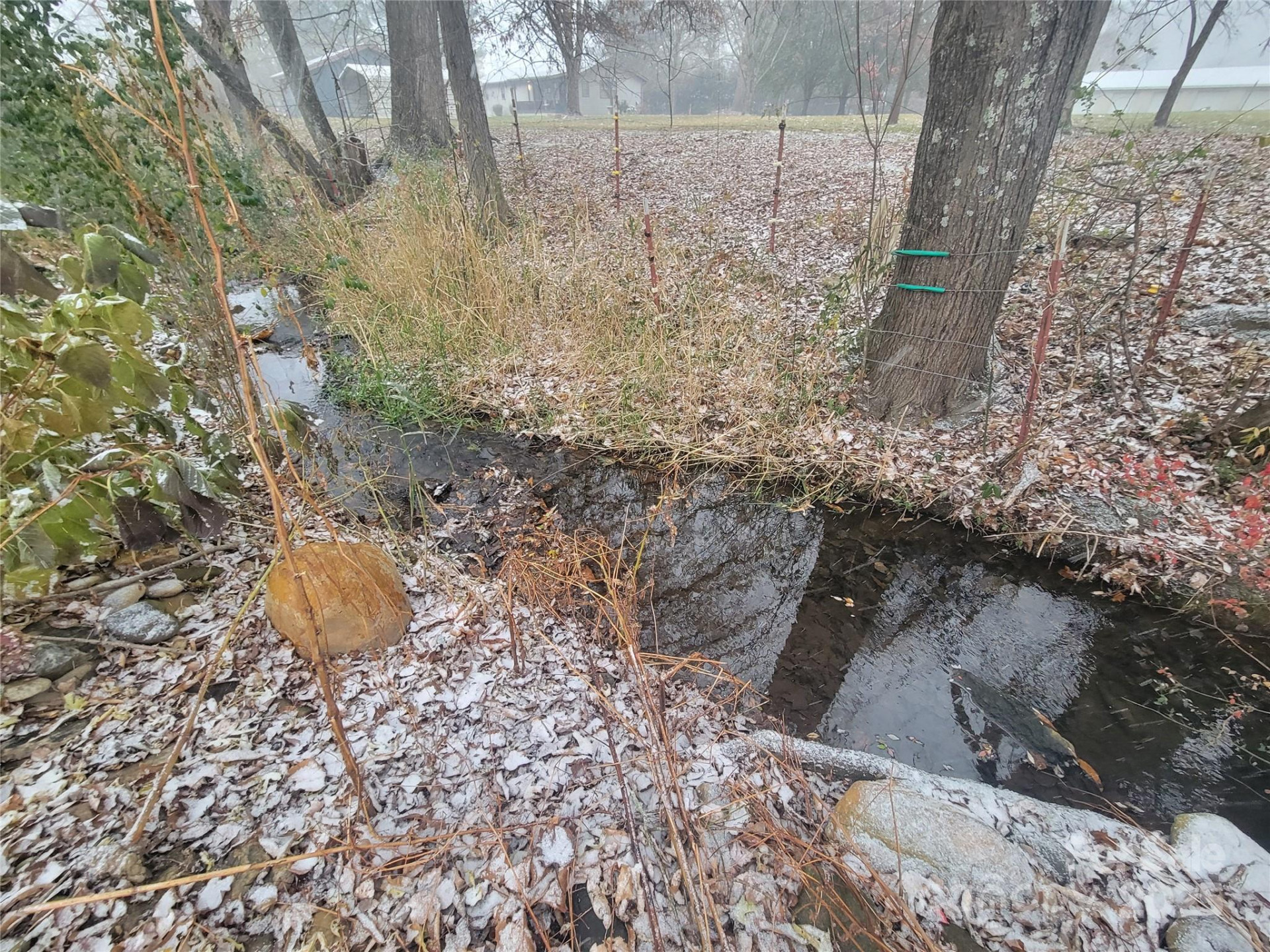 141 Pike Point - Photo 8