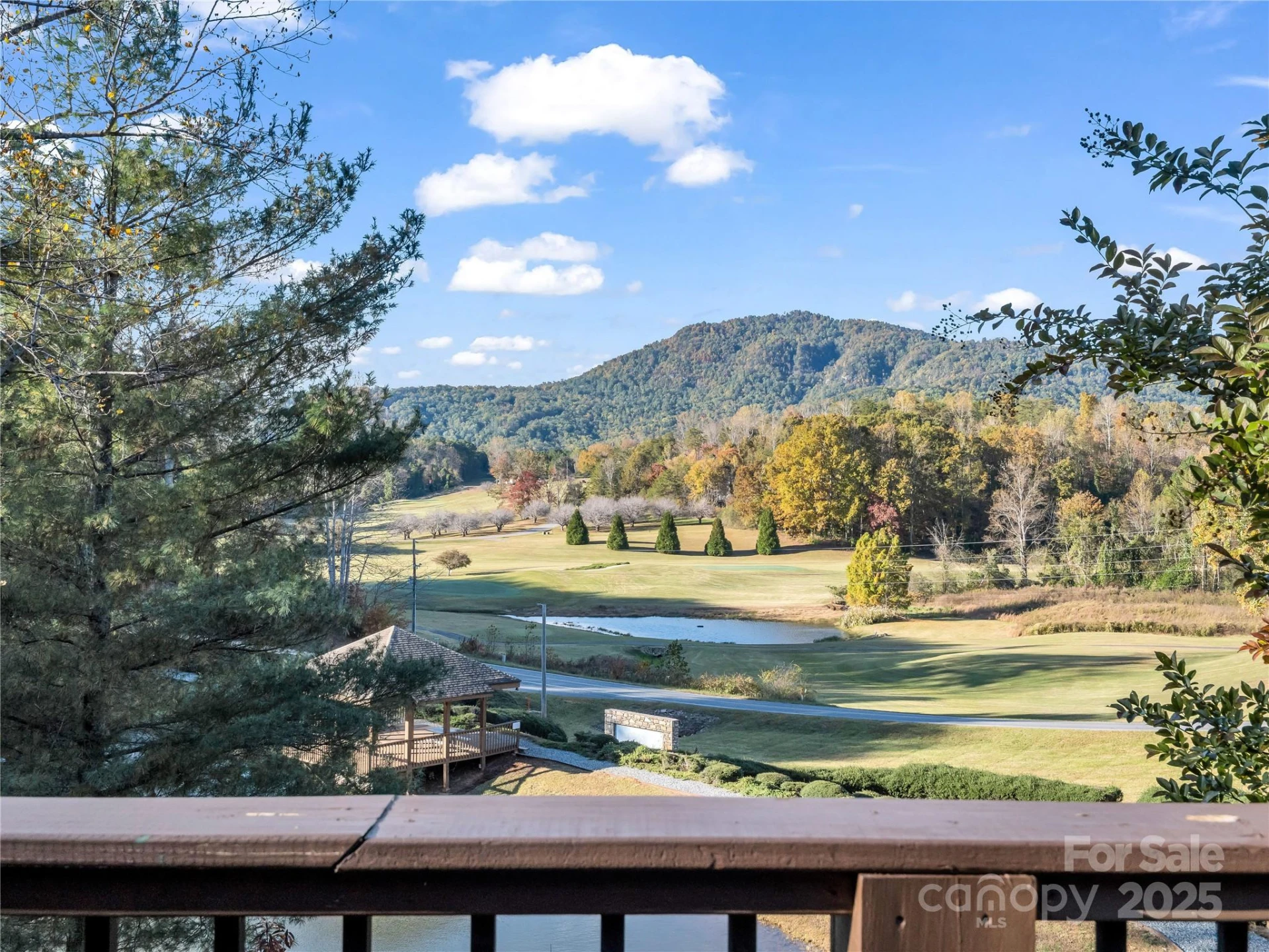 134 Raleigh Drive - Photo 34