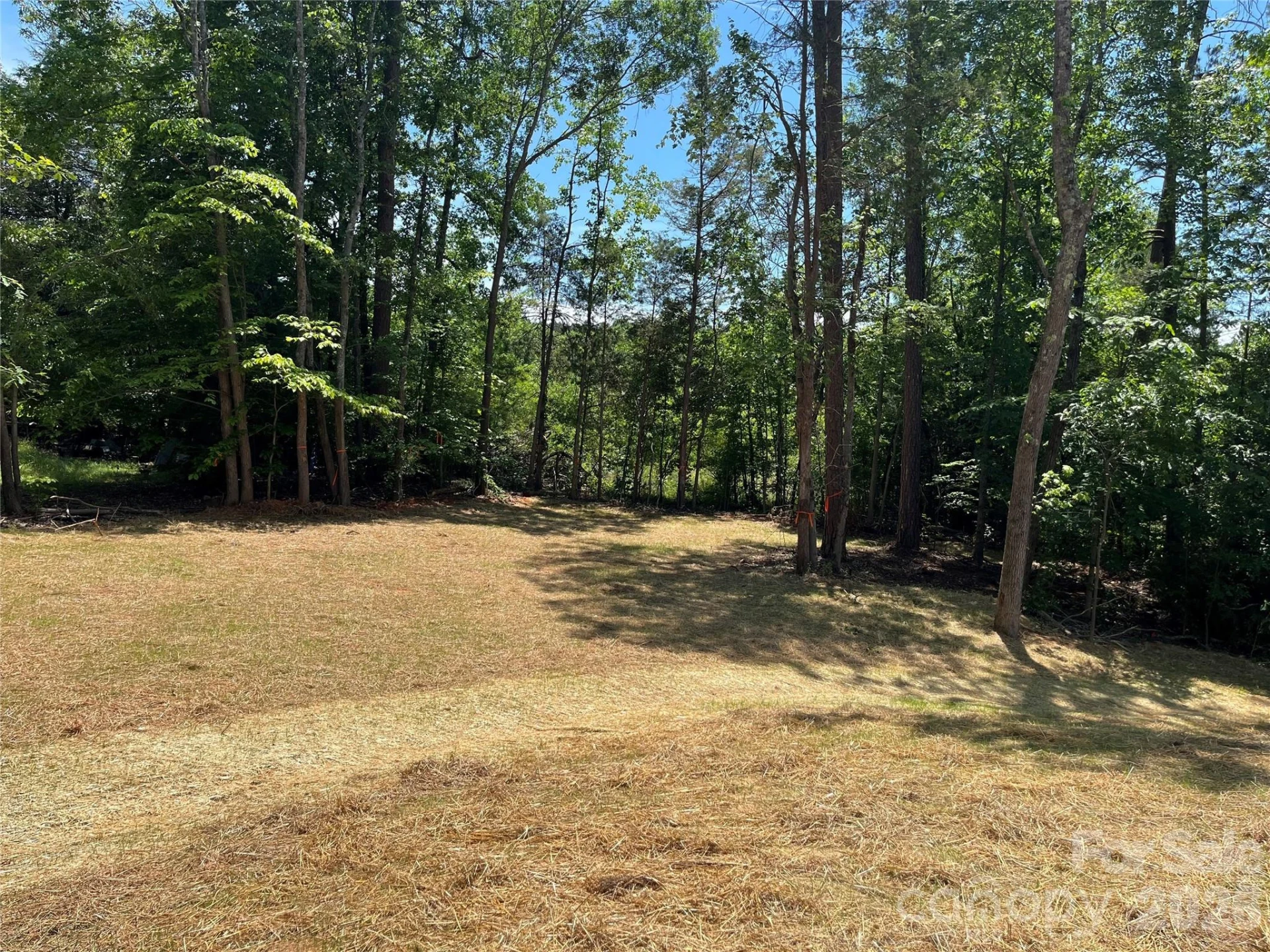 183 Pine Haven Road - Photo 20
