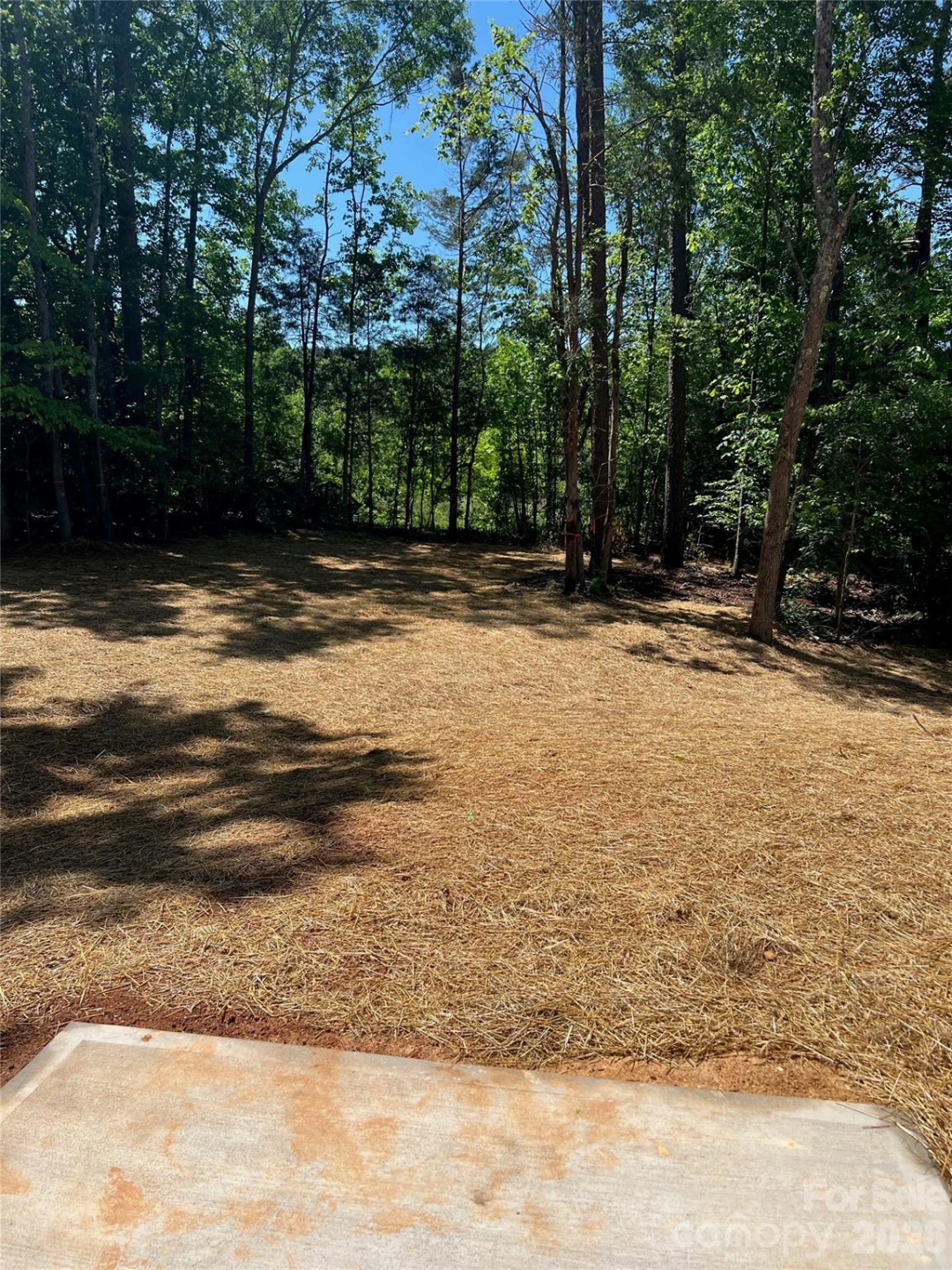 183 Pine Haven Road - Photo 21