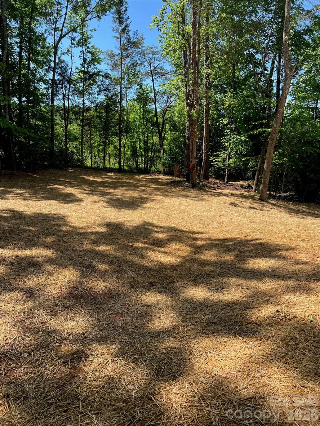 183 Pine Haven Road - Photo 22