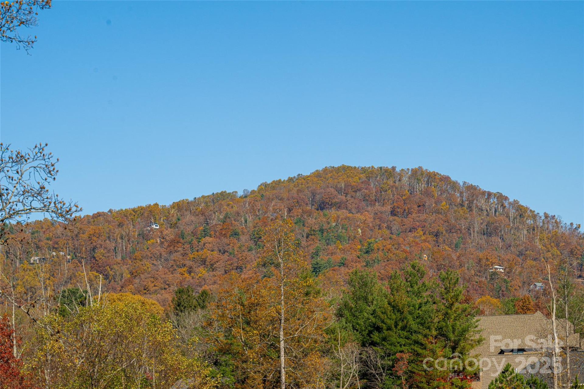 38 Chantilly Drive - Photo 2