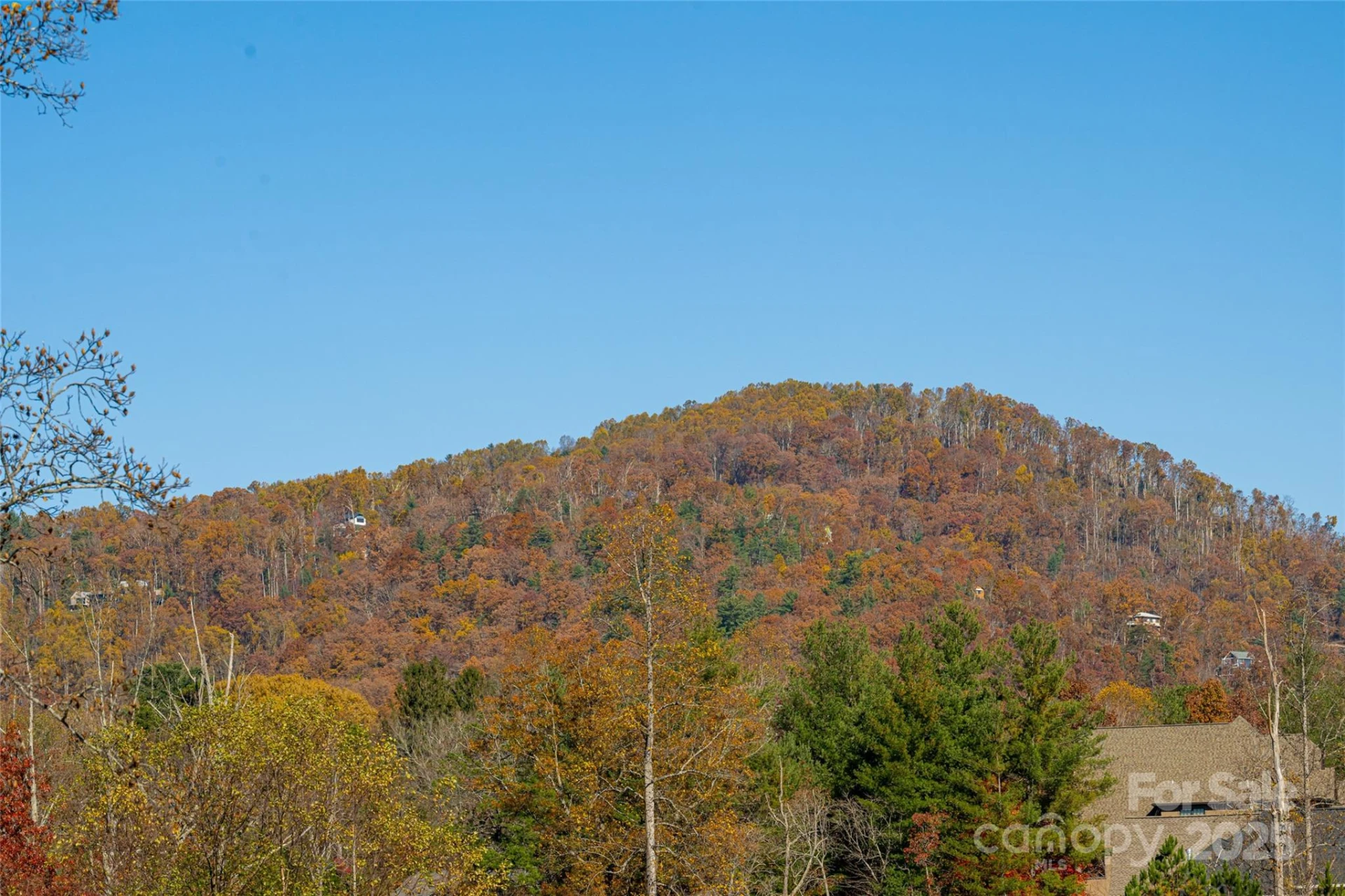 38 Chantilly Drive - Photo 2