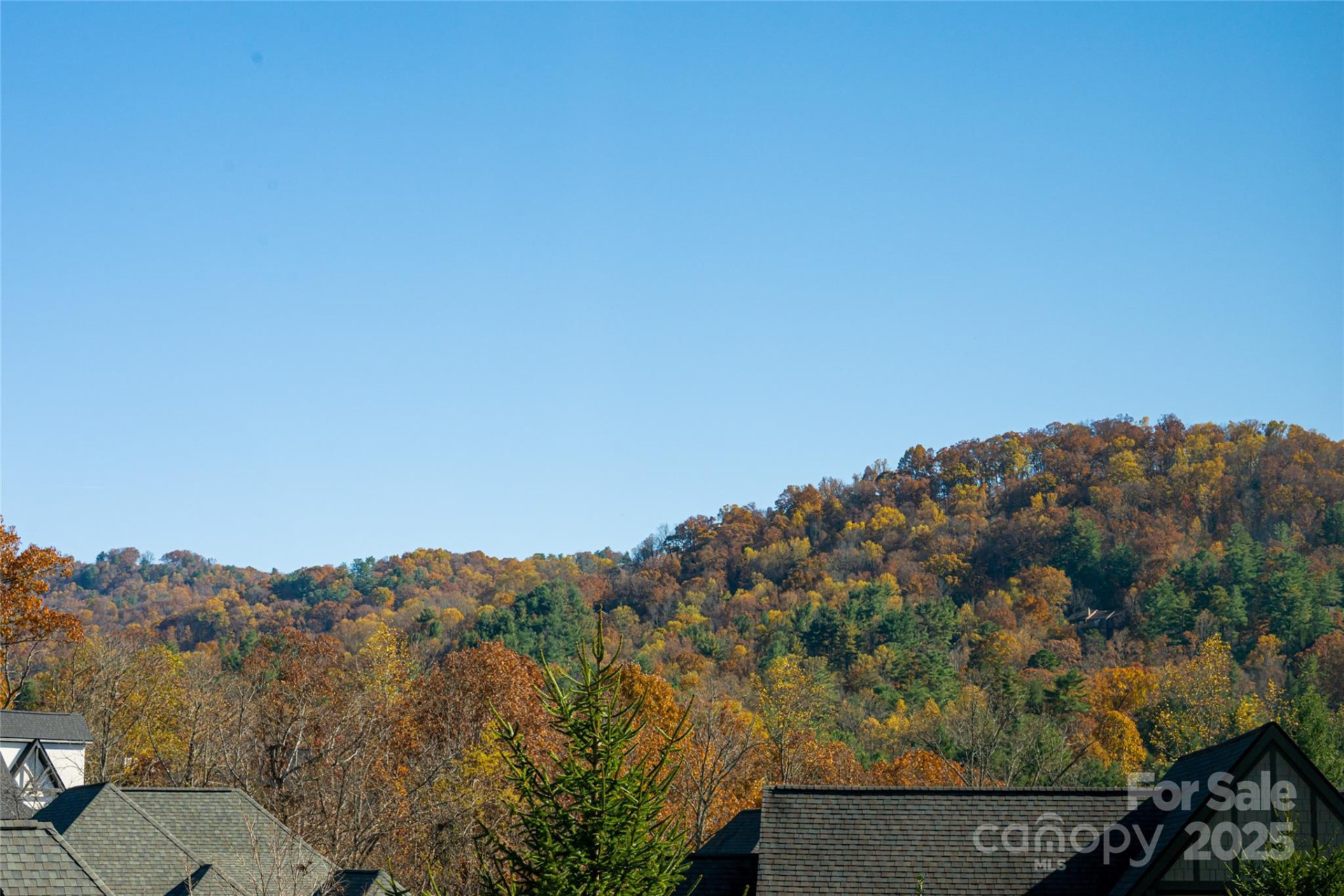 38 Chantilly Drive - Photo 44