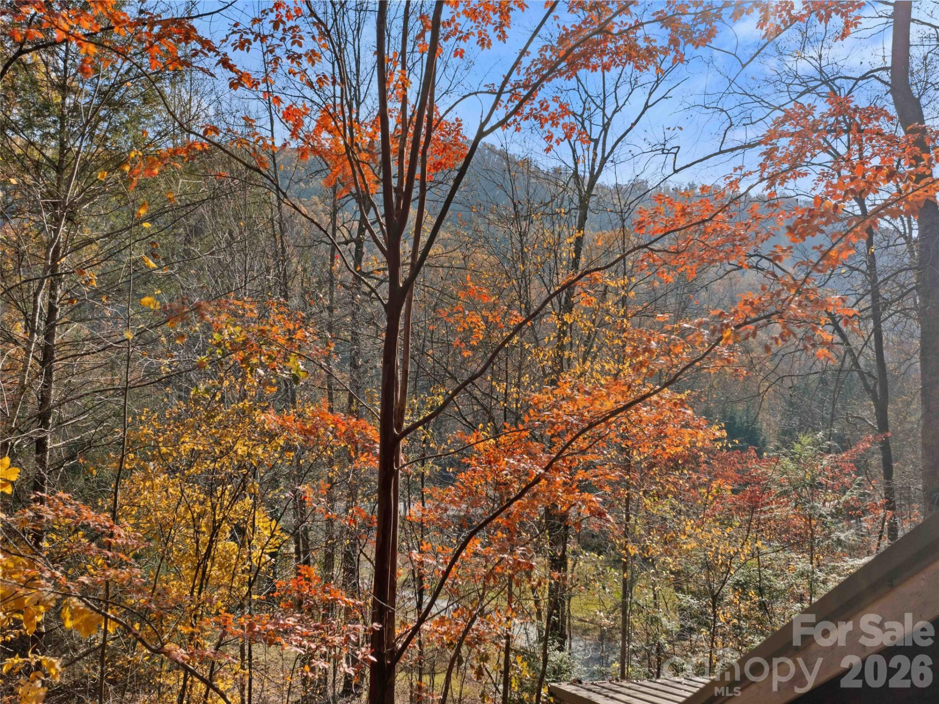 65 Charleston Harbor Drive - Photo 34