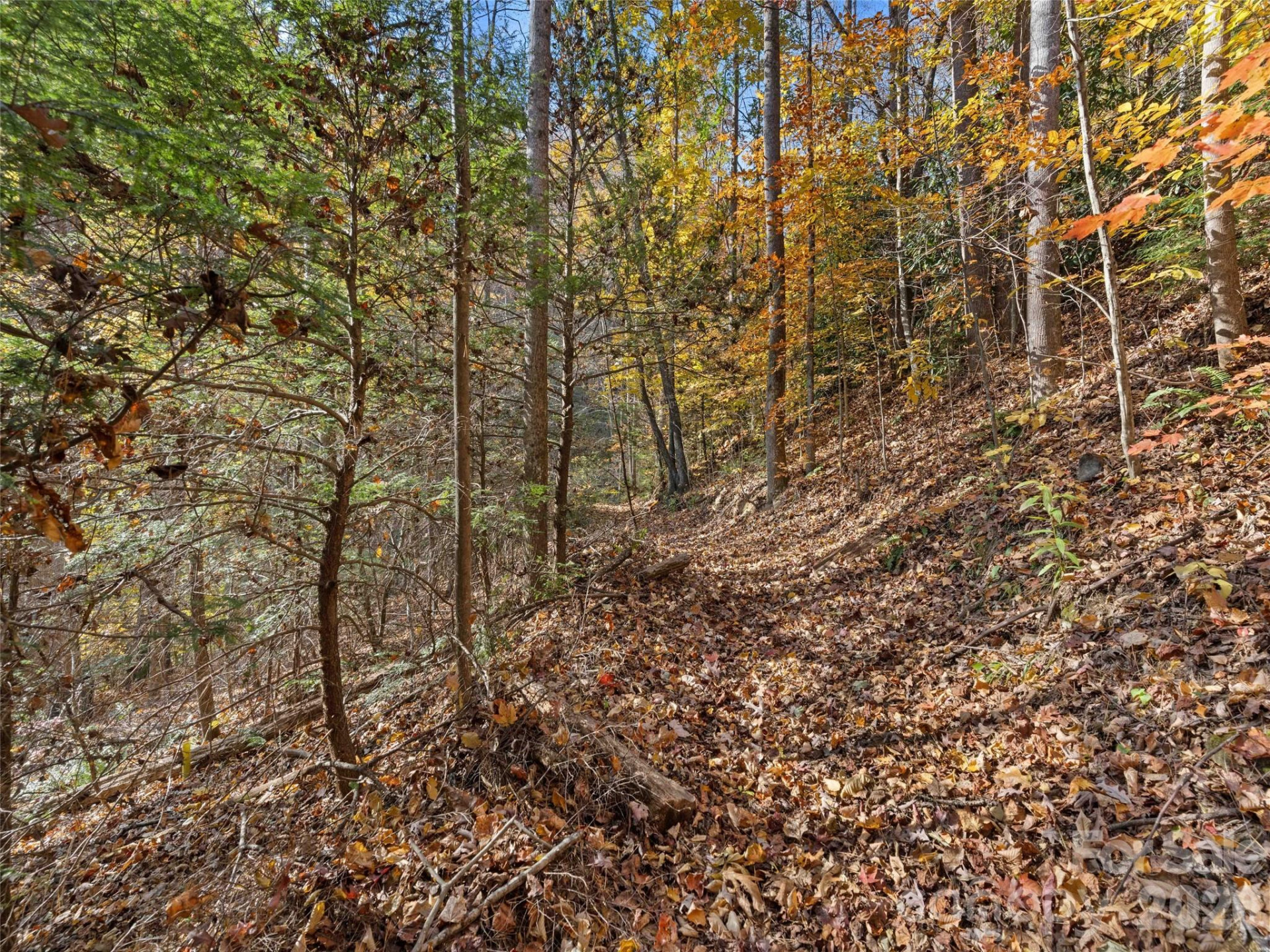 65 Charleston Harbor Drive - Photo 35