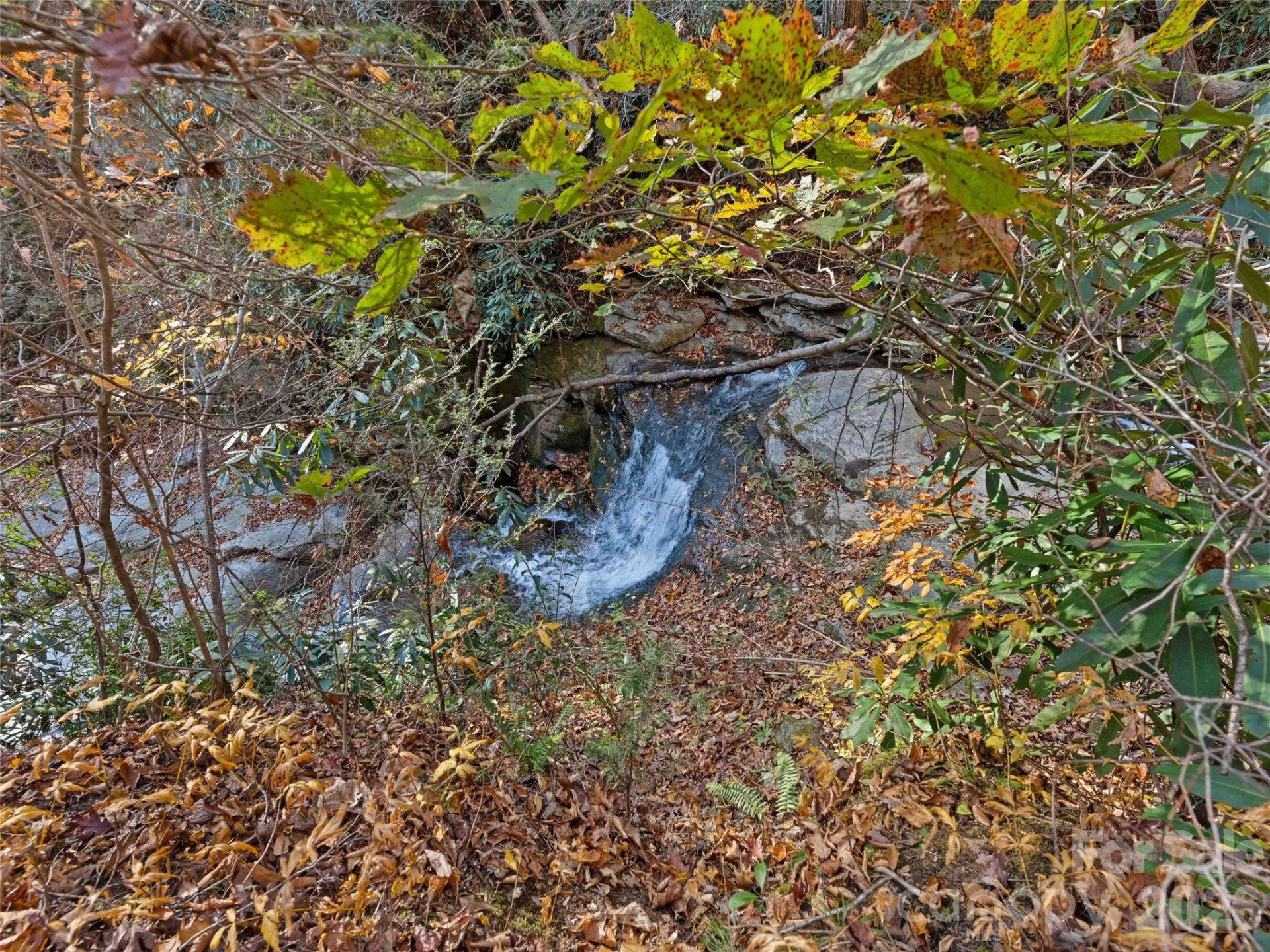 65 Charleston Harbor Drive - Photo 36