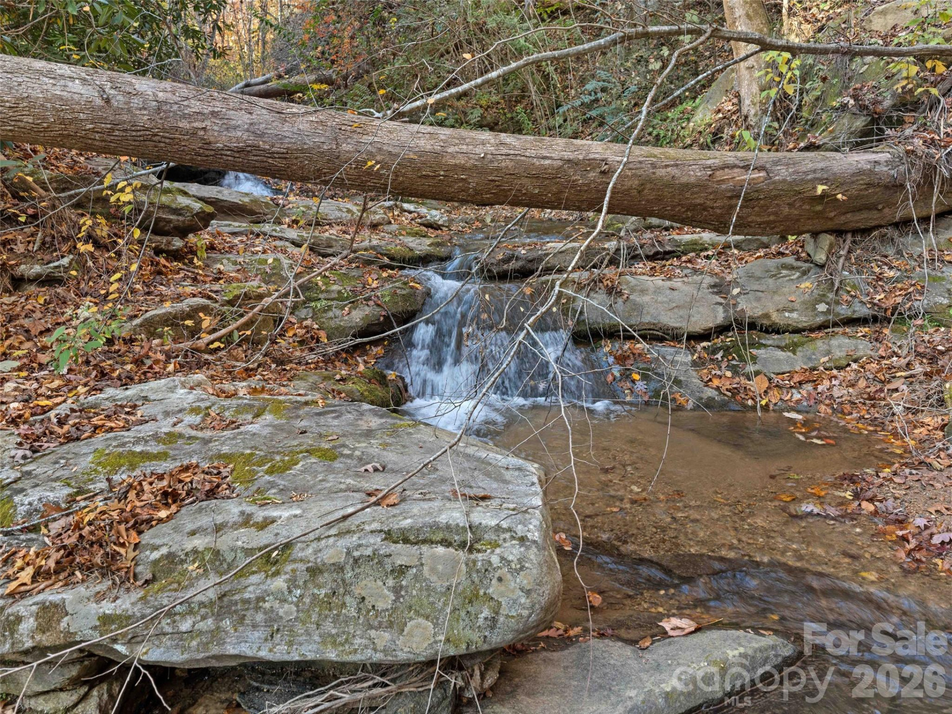 65 Charleston Harbor Drive - Photo 37