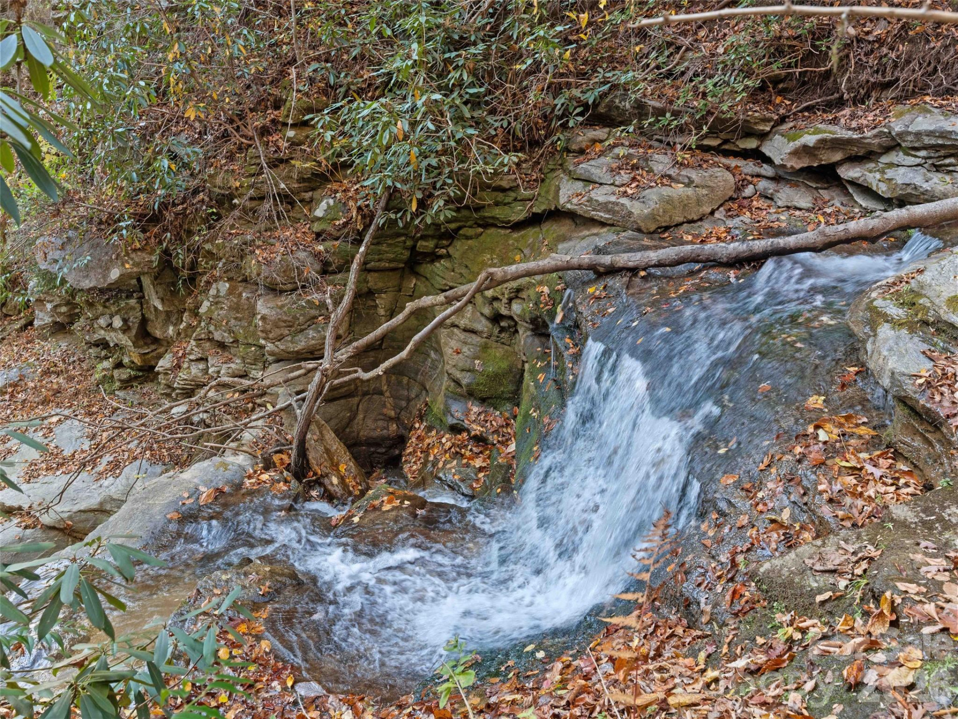 65 Charleston Harbor Drive - Photo 38