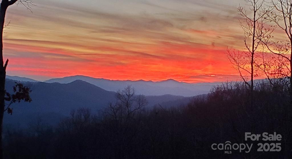 242 Crossview Drive - Photo 48