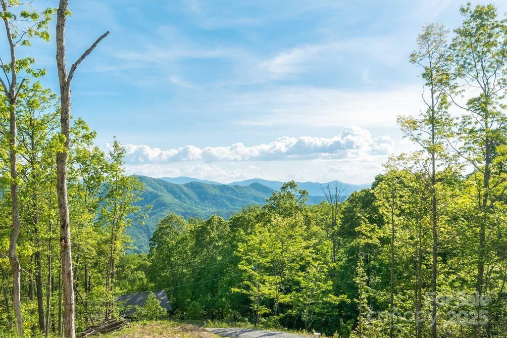 242 Crossview Drive - Photo 7