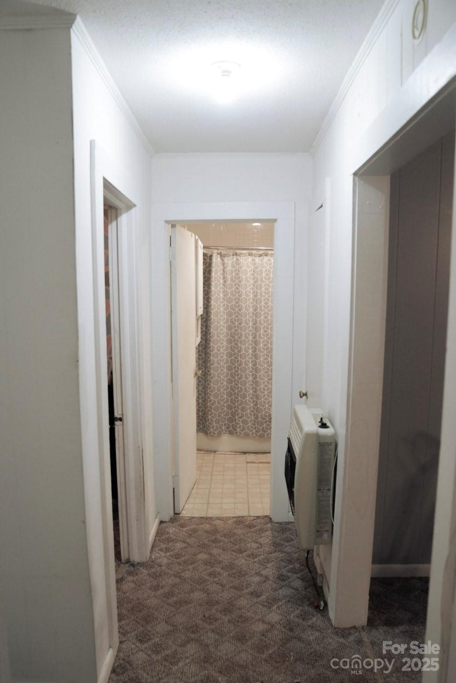 121 Martin Street - Photo 24