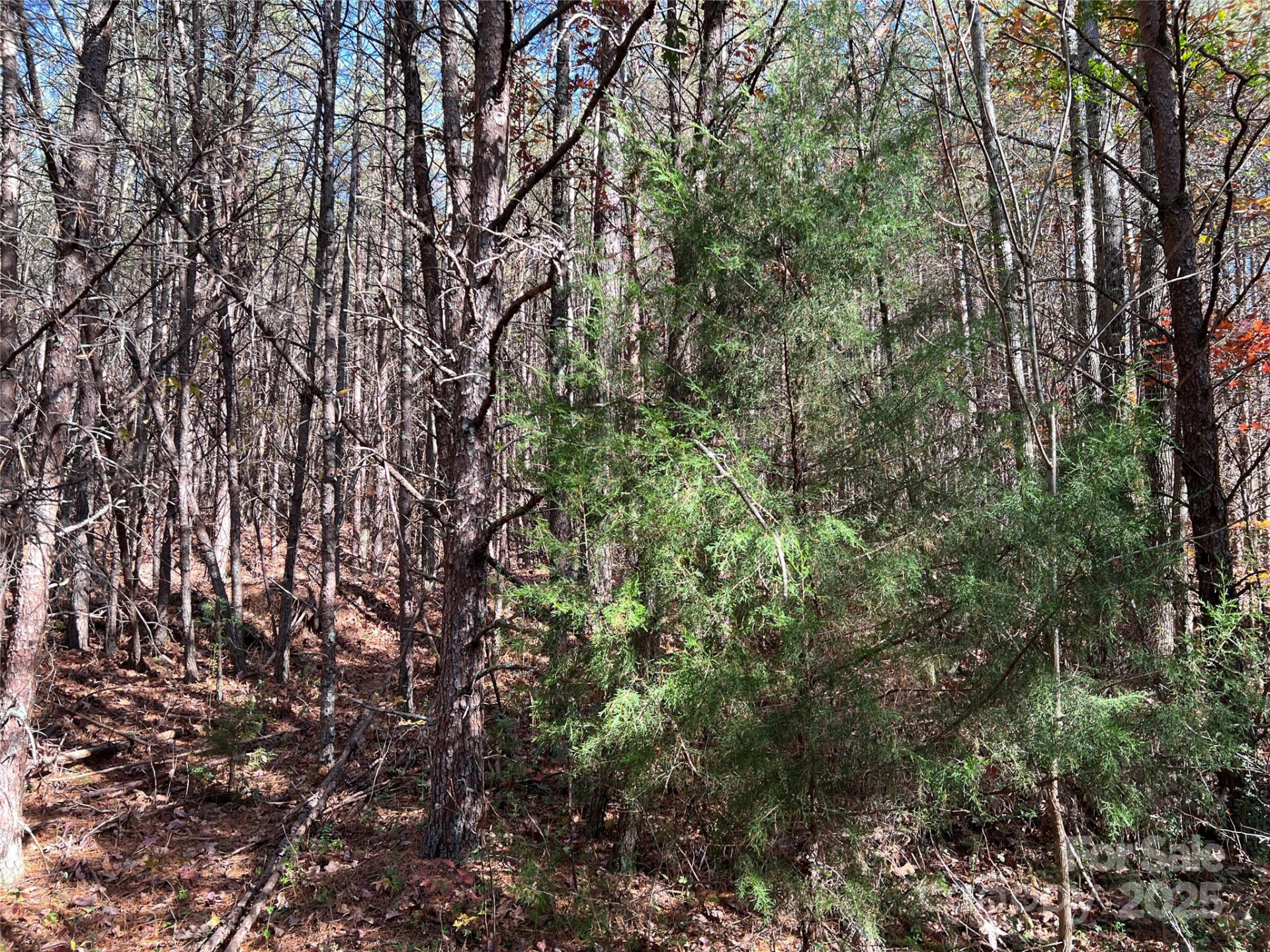 00 North Fork Road - Photo 12
