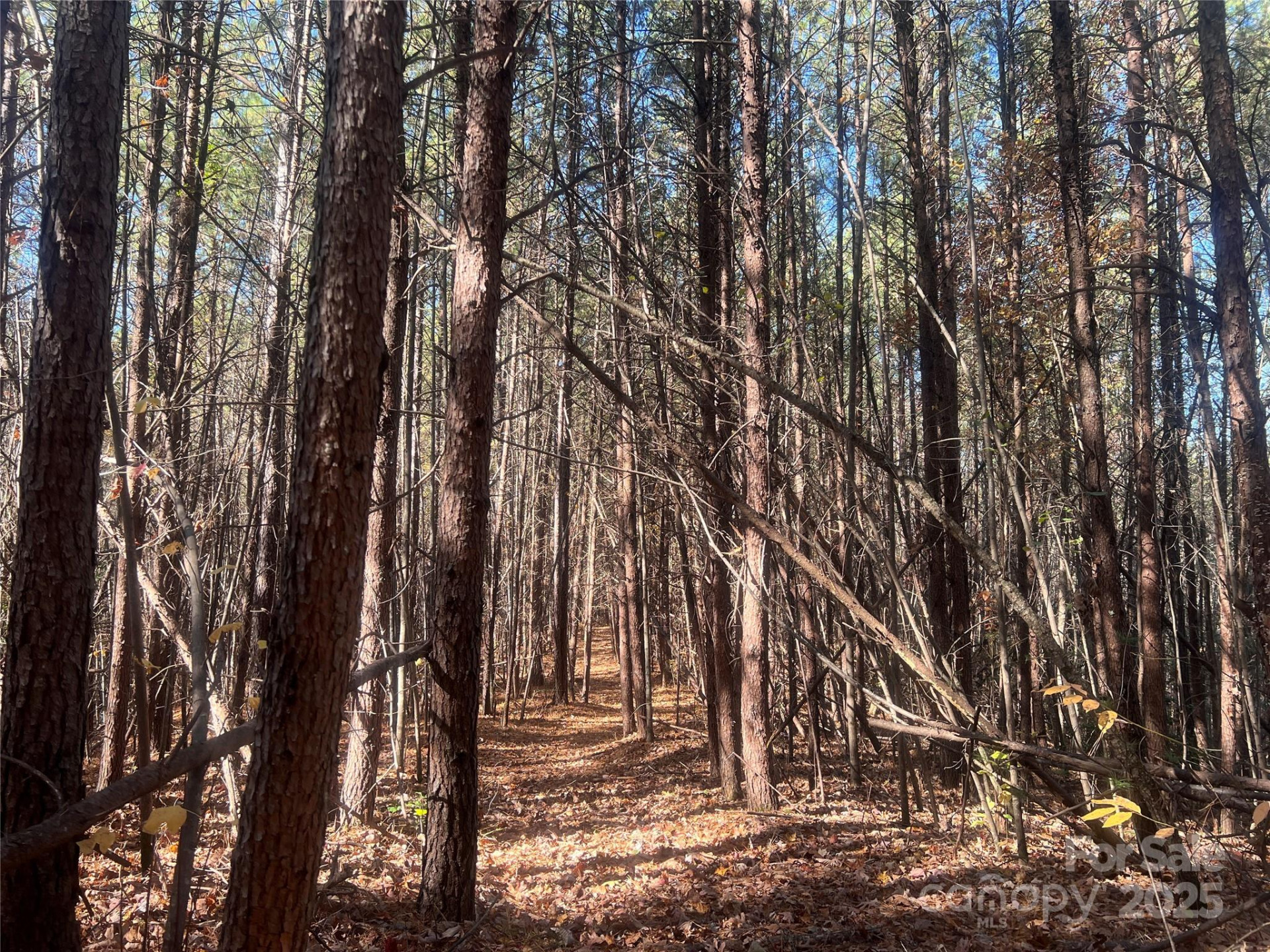00 North Fork Road - Photo 13
