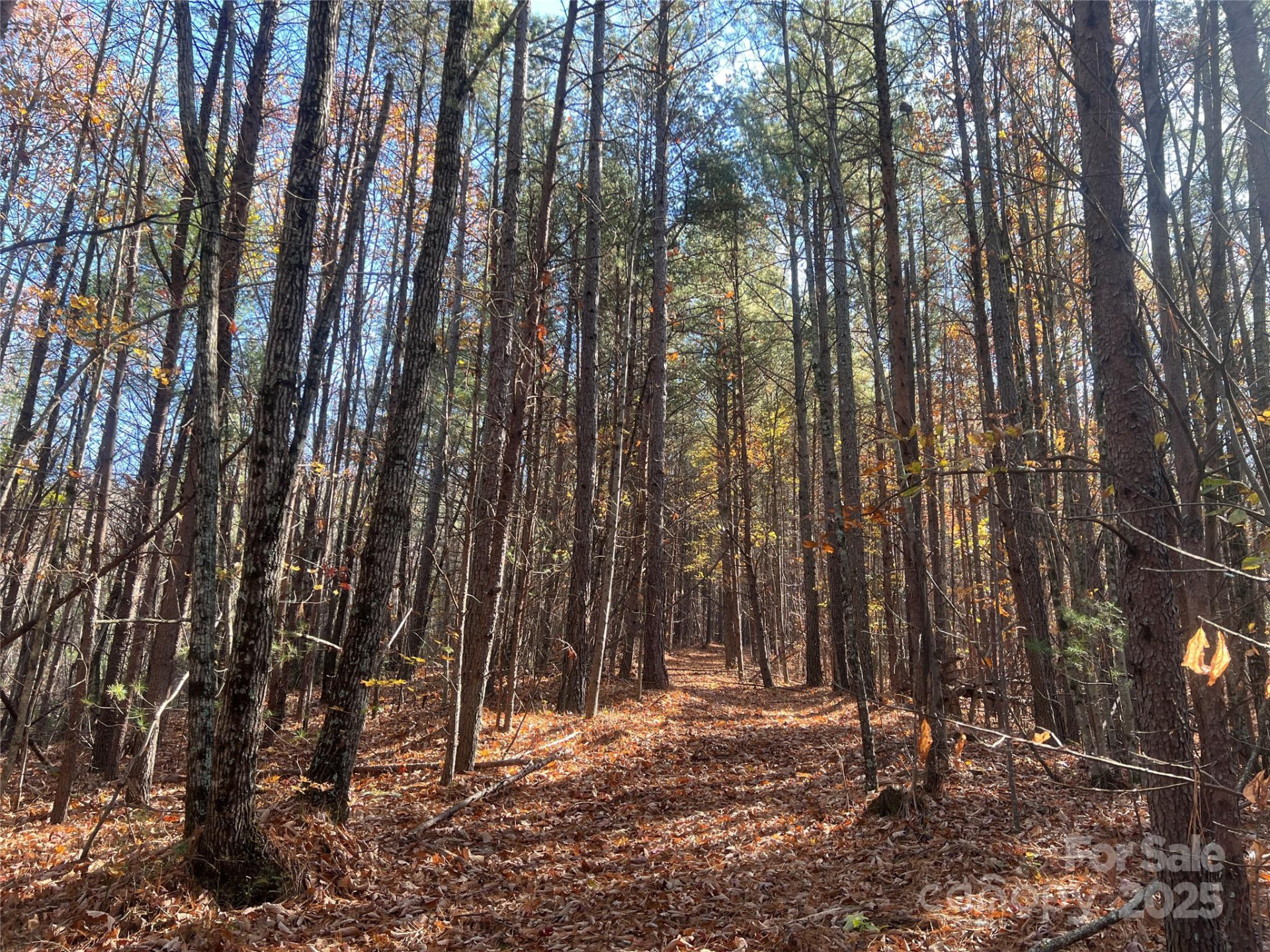 00 North Fork Road - Photo 14