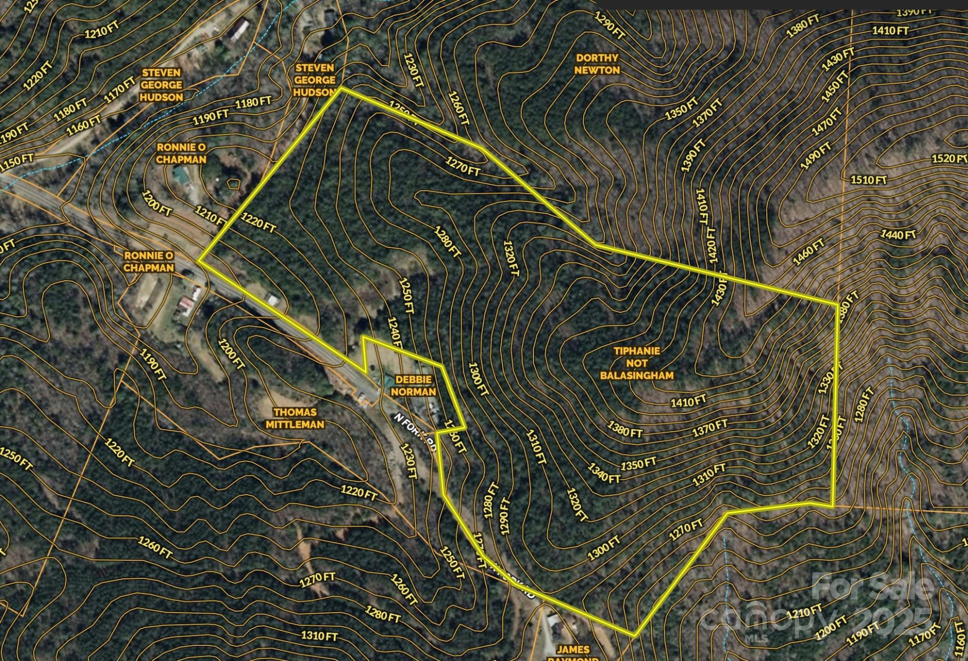 00 North Fork Road - Photo 4