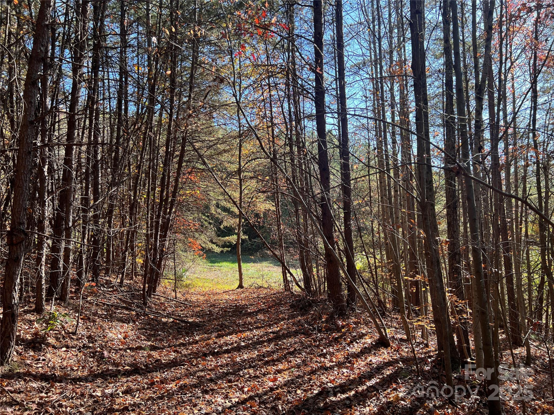00 North Fork Road - Photo 6