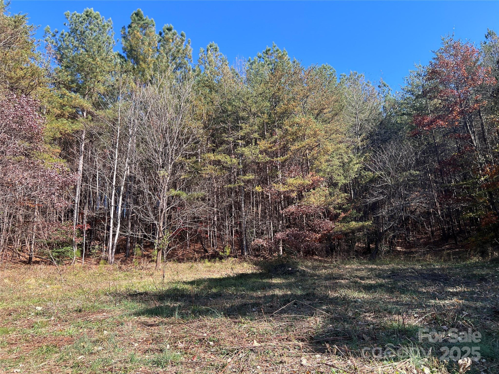 00 North Fork Road - Photo 7