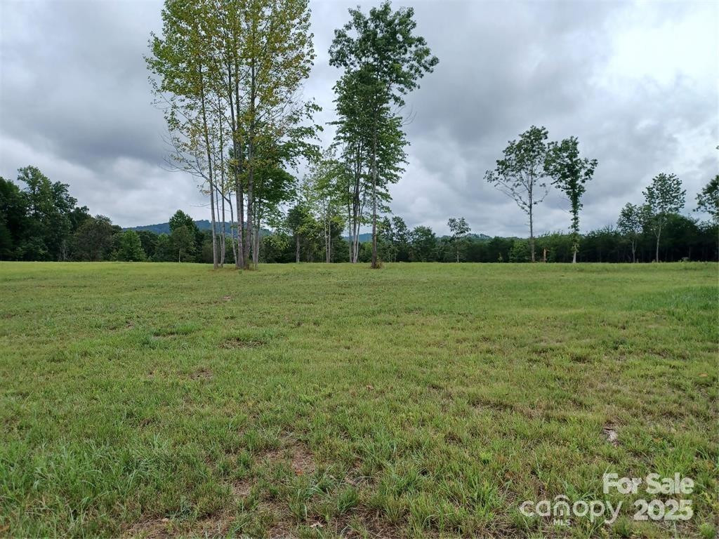 000 Jackson Hollow Lane - Photo 2