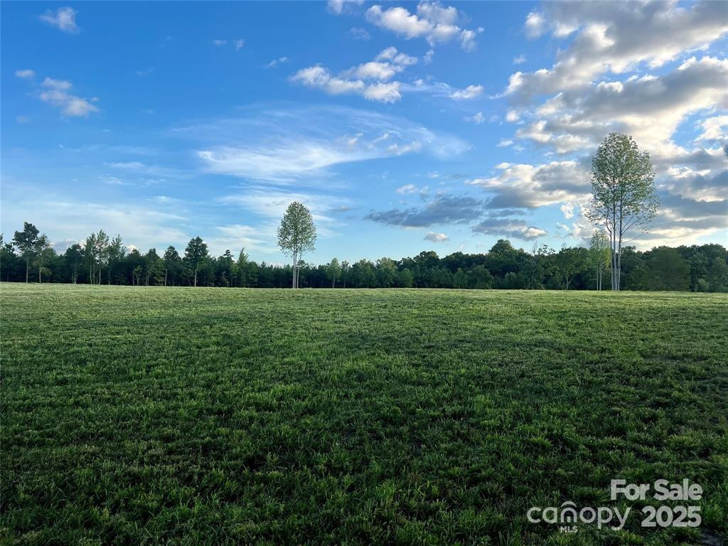 000 Jackson Hollow Lane - Photo 3