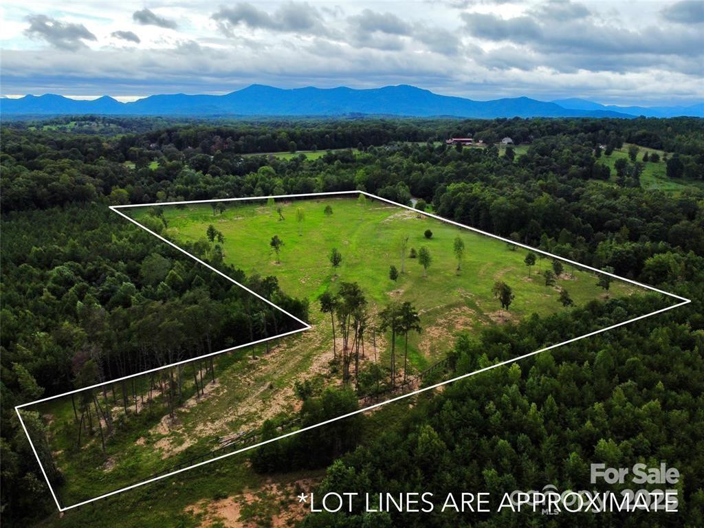 000 Jackson Hollow Lane - Photo 4