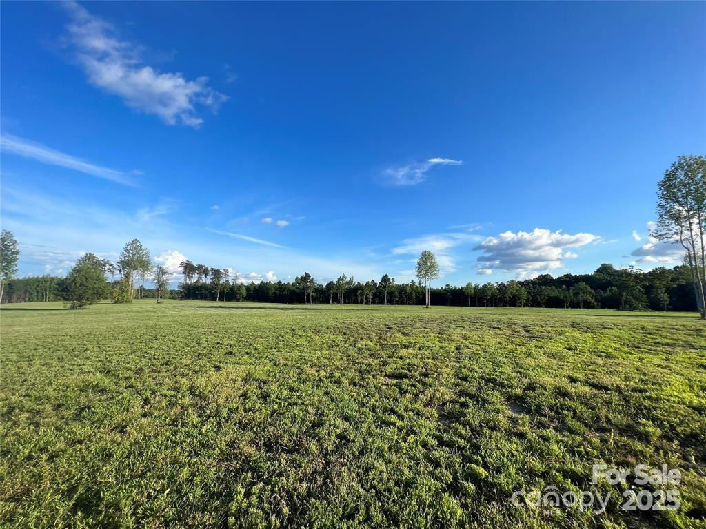 000 Jackson Hollow Lane - Photo 5