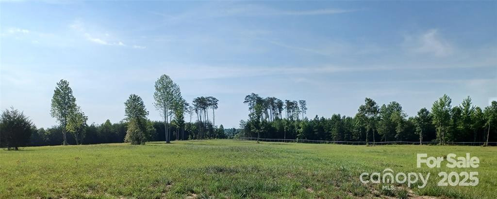000 Jackson Hollow Lane - Photo 6