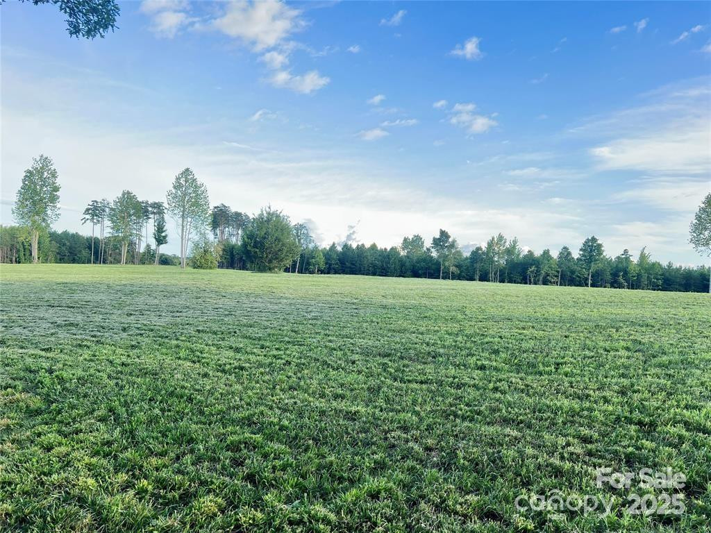 000 Jackson Hollow Lane - Photo 7