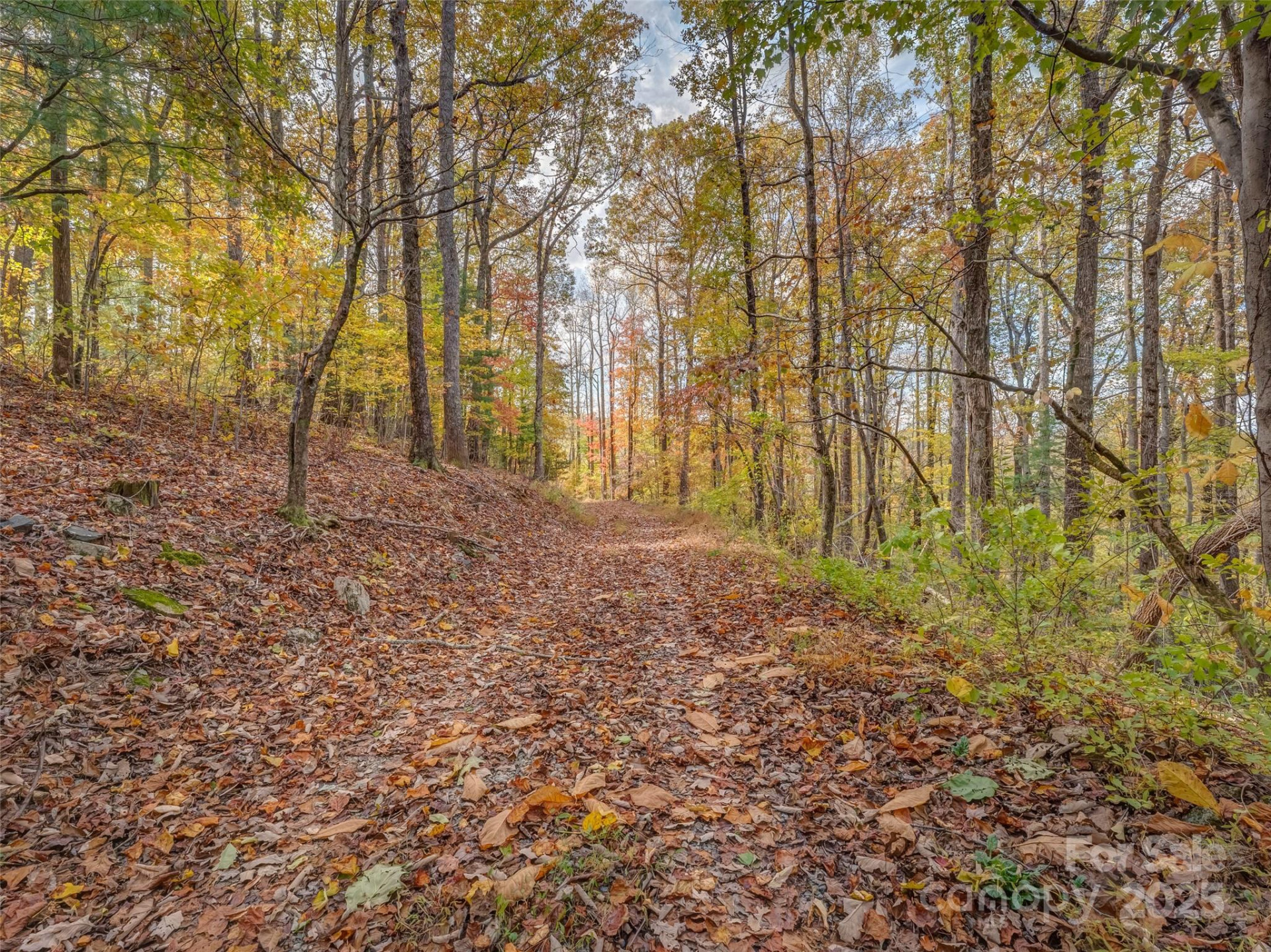 6130 Howard Gap Road - Photo 22