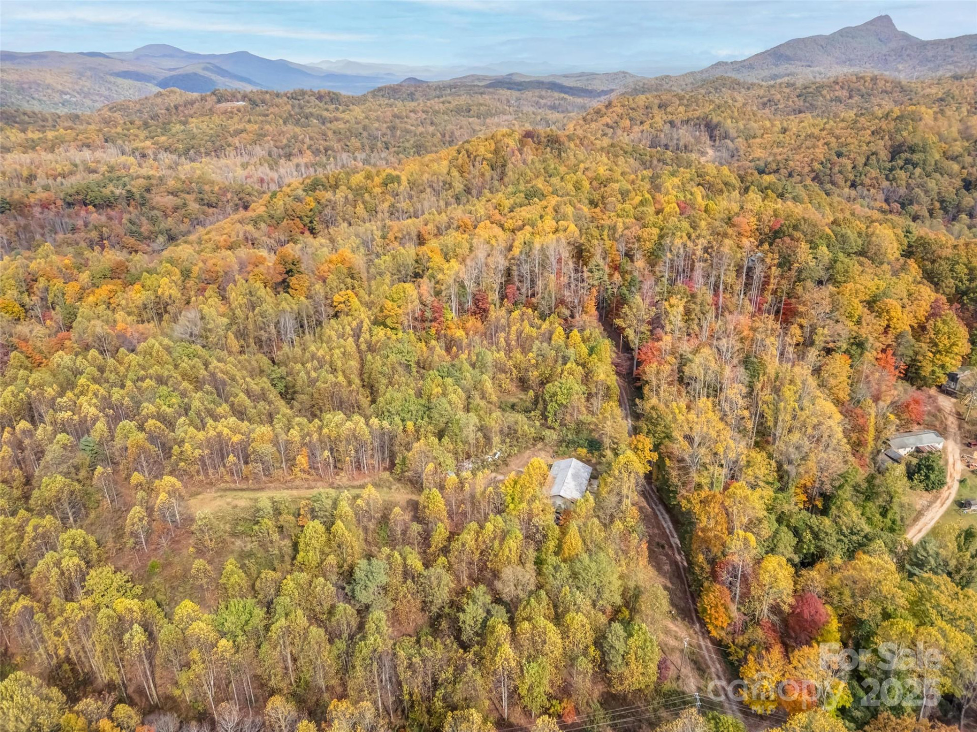 6130 Howard Gap Road - Photo 24