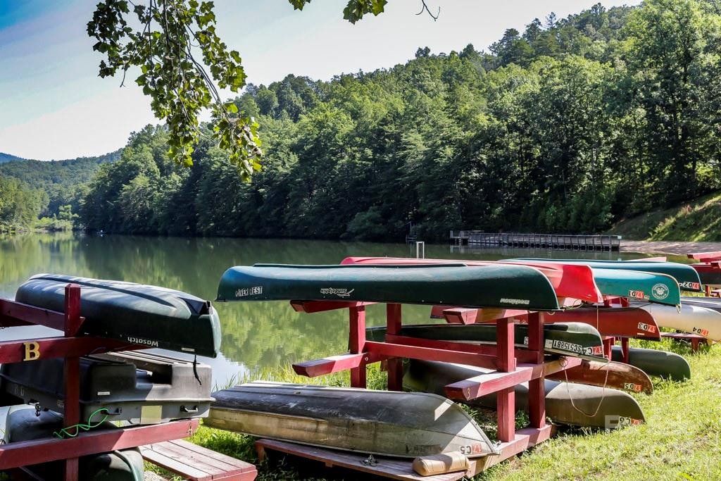 114 Birddog Boulevard - Photo 17