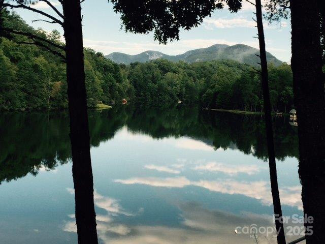 114 Birddog Boulevard - Photo 33