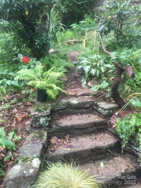 233 Rolling Drive - Photo 36