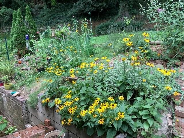 233 Rolling Drive - Photo 37