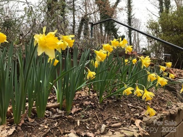 233 Rolling Drive - Photo 38