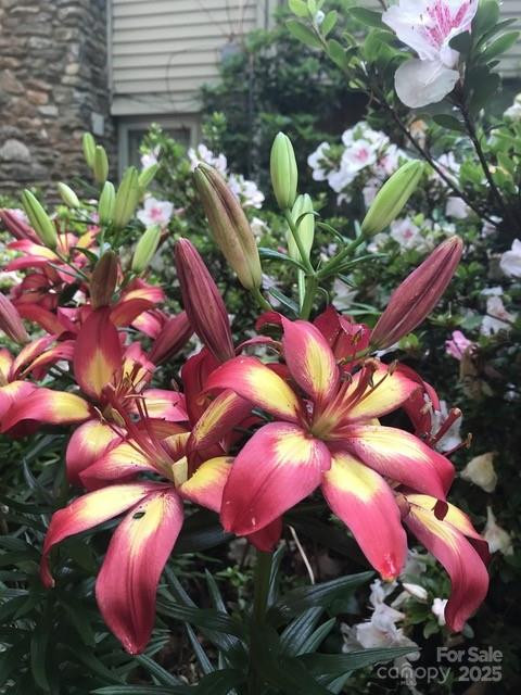 233 Rolling Drive - Photo 39