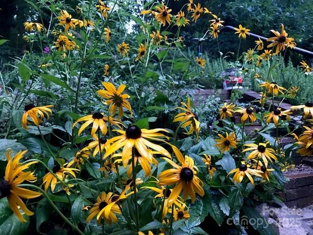 233 Rolling Drive - Photo 40