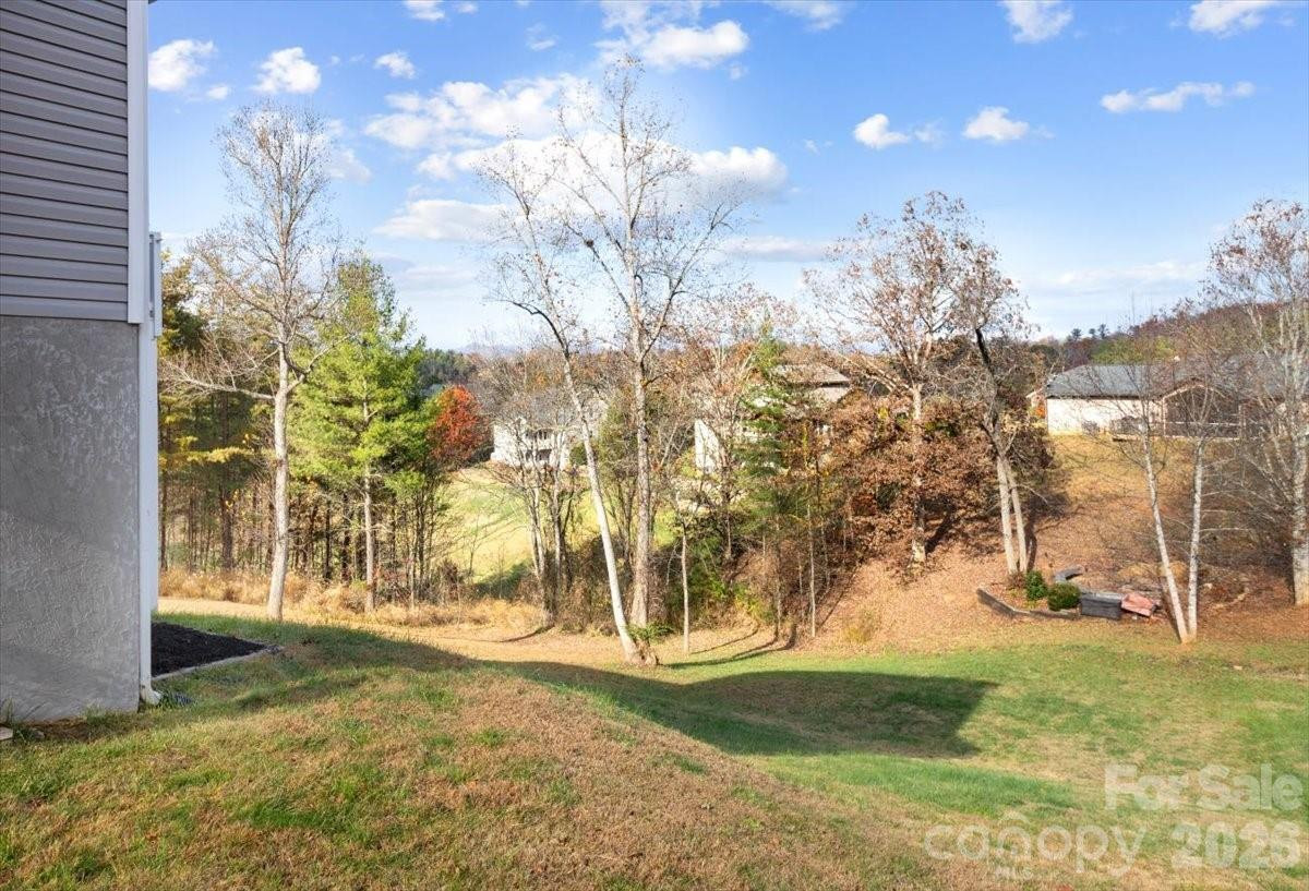 9 Old Amber Drive - Photo 43