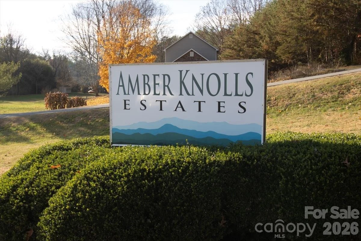 9 Old Amber Drive - Photo 45