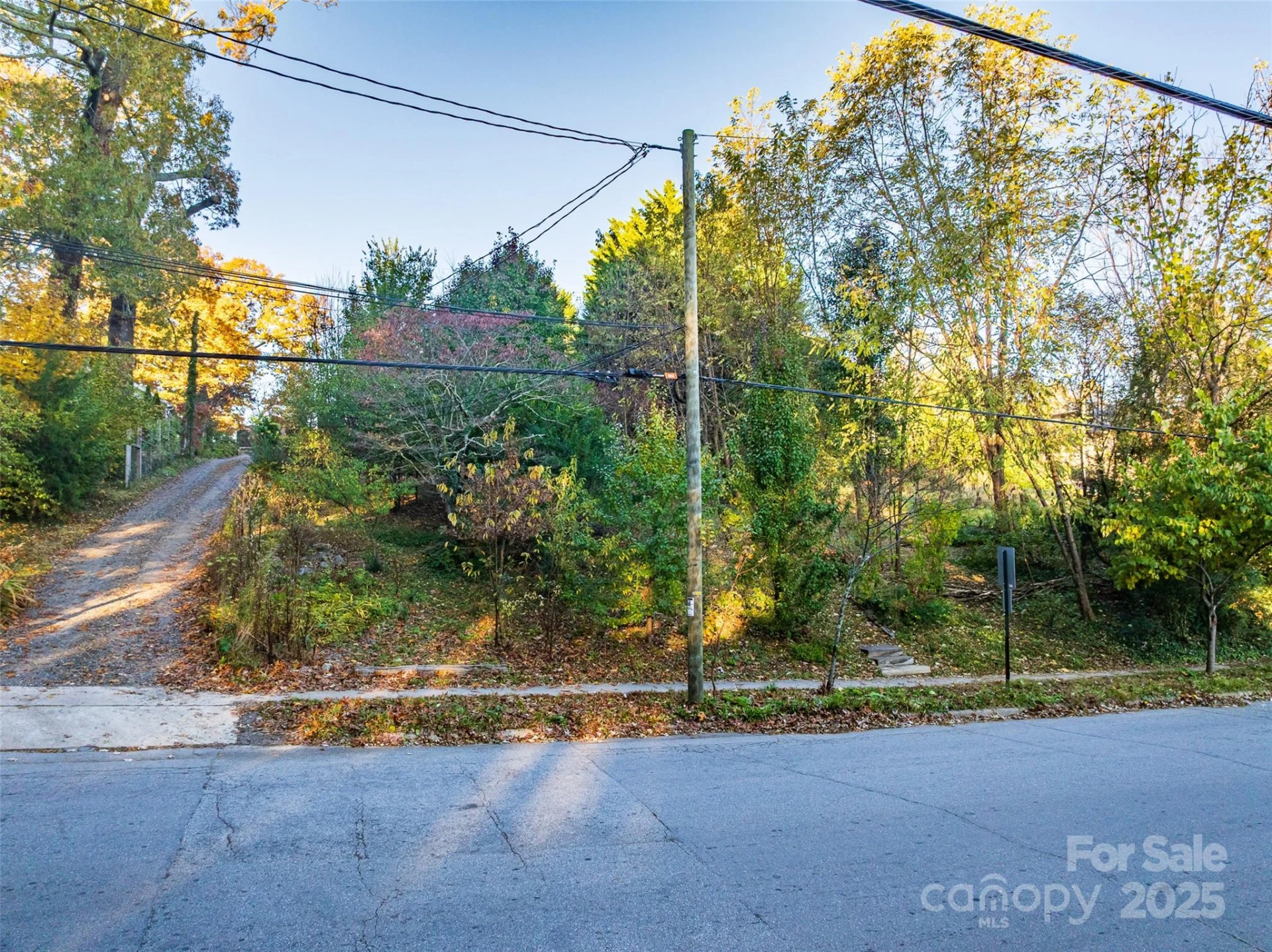 273 French Broad Avenue #3&4 - Photo 5