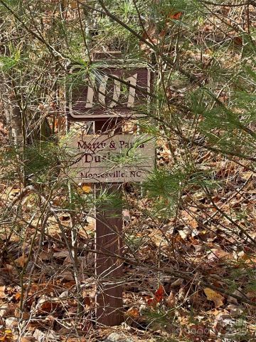 00 Pinnacle Falls Lane, Zirconia, NC, 28790