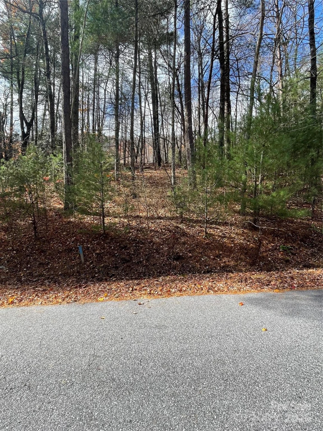 00 Pinnacle Falls Lane - Photo 2